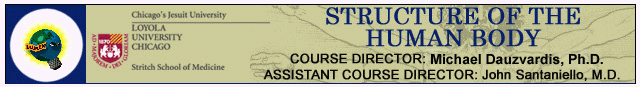hd_struct.gif (15211 bytes)