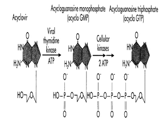 Aspirin Mechanism Of Action. mechanism of action