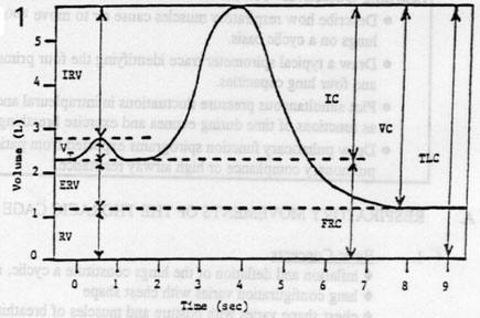 lung volumes and ventilation objectives spirogram chart