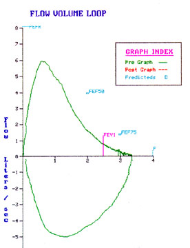 Lung Function Peak Flow Chart