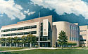 Stritch School of Medicine