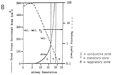 Mechanics of Breathing