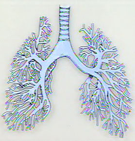 Abnormal Lung Sounds