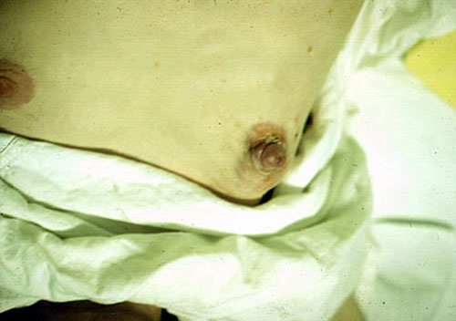 image3.jpg