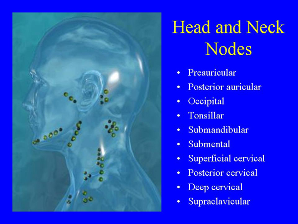groups of cervical nodes