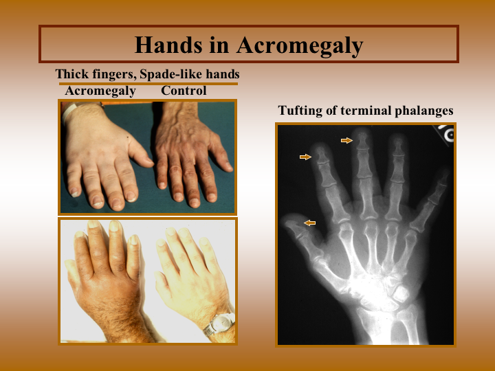 untitled [www.meddean.luc.edu]