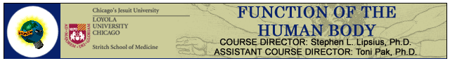 hd_func.gif (15603 bytes)