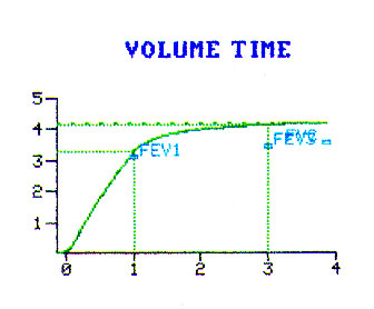 pft11b.JPG (28706 bytes)