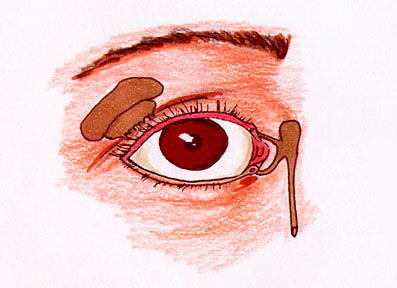 Anatomy eyeballs