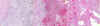 61-10comp.jpg (277839 bytes)