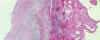 61-4comp.jpg (142117 bytes)