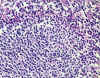 6-40b.jpg (84756 bytes)