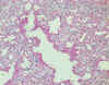 70-10.JPG (100102 bytes)